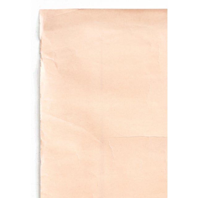 1950's Original French Poster, Prunelle Du Velay - Paul Igert For Sale - Image 6 of 9