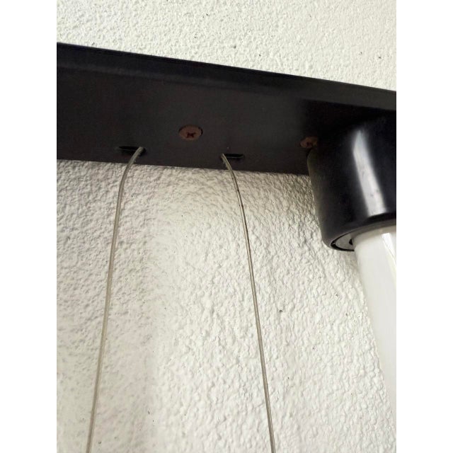 Hanging Light by Gian Nicola Gigante for Zerbetto, 1980 For Sale - Image 18 of 18