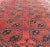 Persian Early 20th Century Hand-Knotted Turkomen Ersari Rug in Wool With Gul Design in Red, Orange and Blue For Sale - Image 3 of 13