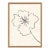 Line Drawing I by Susan Hable For Sale