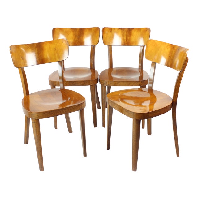 Dining Chairs in Walnut from Tatra, Former Czechoslovakia 1950s, Set of 4 For Sale