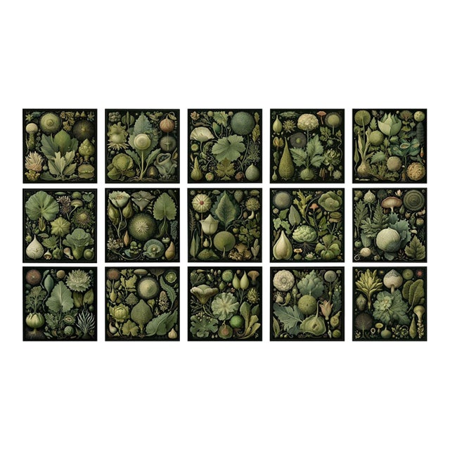 Set of 15 - 90' X 54' Evergreen Organic Modern Gallery Wall Installation Botanical Prints - Dark Green, Unframed For Sale