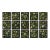Set of 15 - 90' X 54' Evergreen Organic Modern Gallery Wall Installation Botanical Prints - Dark Green, Unframed For Sale