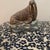 Known for high-quality decorative arts, Andrea by Sadek figurines are favored by collectors for their lifelike anatomical...