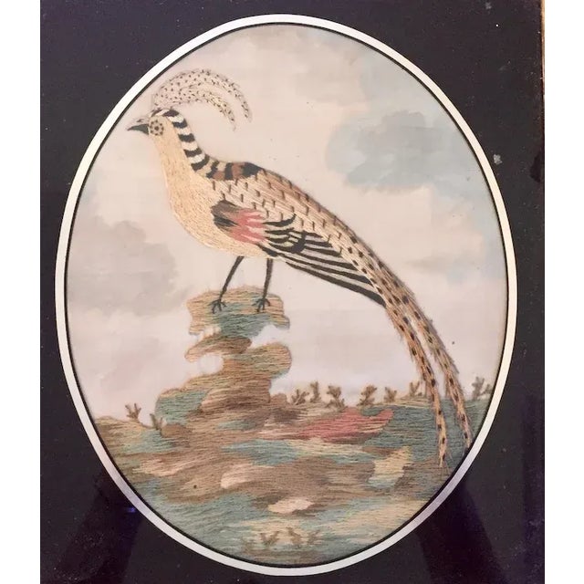 Antique 18th Century English George III Needlework of an Exotic Bird in Original Gilt Wood Frame For Sale - Image 9 of 11