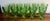 Fostoria Glass Company Fostoria Green Moonstone Tea Glasses Set 10 For Sale - Image 4 of 11