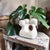This Carved White Chalk Modern Sculpture is a stunning addition to any contemporary space, expertly crafted to blend...