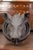 Late 19th Century English 1880s Terracotta Hog Head Mounted on New Custom Circular Iron Frame For Sale - Image 5 of 12