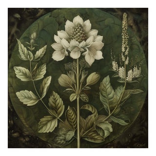 18" X 18" Original Botanical Print - Dark Green Grisaille For Sale