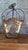 19th Century Napoleon III Hanging Lantern in Gilded Wrought Iron and Engraved Glass, 1800s For Sale - Image 5 of 10