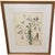 This elegant antique botanical engraving, “Scammonium Syriacum”, was printed in France in the 19th century from an...
