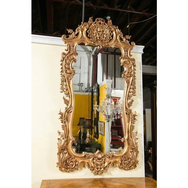 Monumental Louis XV style giltwood mirror. The pierced rocaille crest decorated with a stylized shell and winged animal...