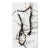 Virginia Dutton Abstract Ink and Acrylic Painting, “Torso” 2015 For Sale