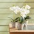 This sweet set of potted pureWhite mini orchids come in their own rustic wooden tray. Great for hostess gifts or wrap a...