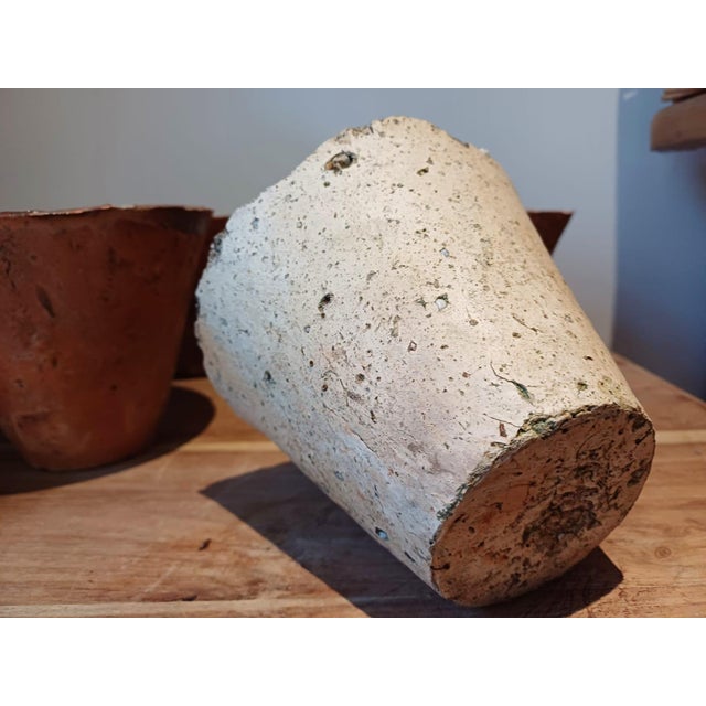 Antique French Resin Pots by Pierre Hughes for the Production of Turpentine, 1800s, Set of 5 For Sale - Image 10 of 11