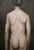 Nude, 2006, Oil on Canvas For Sale - Image 8 of 8