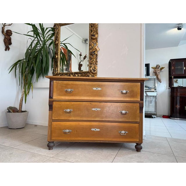 Gründerzeit Chest of Drawers in Walnut For Sale - Image 10 of 15