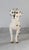 1980s Vintage Lefton Dalmatian Figurine For Sale - Image 5 of 11