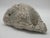 Large Fossilized Brain Coral Specimen Nautical Sea Creature Art Beach Excellent condition, for a piece of piece of...