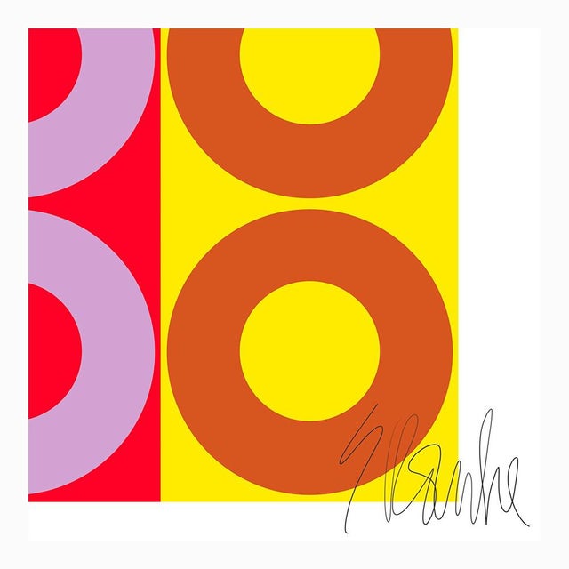 Color Harmony Fine Art Print 25" X 30" by Liz Roache For Sale In Boston - Image 6 of 6