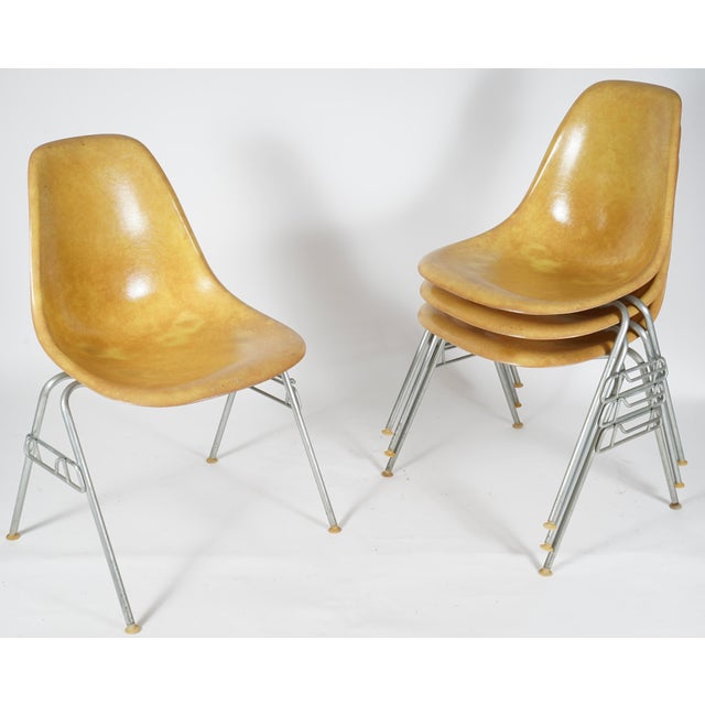 1960s Vintage Eames Fiberglass DSS Stacking Chairs by Charles and Ray Eames for Herman Miller Set of 4 For Sale - Image 5 of 7