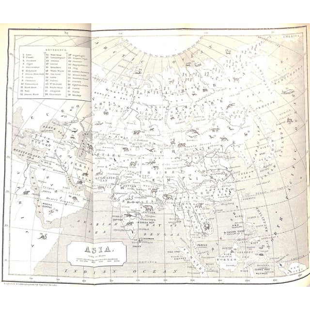 White "Wild Sports of the World: A Boy's Book of Natural History and Adventure" 1862 Greenwood, James For Sale - Image 8 of 12