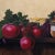 Duke Windsor, Realistic Still Life, "An American Classic" For Sale - Image 4 of 5