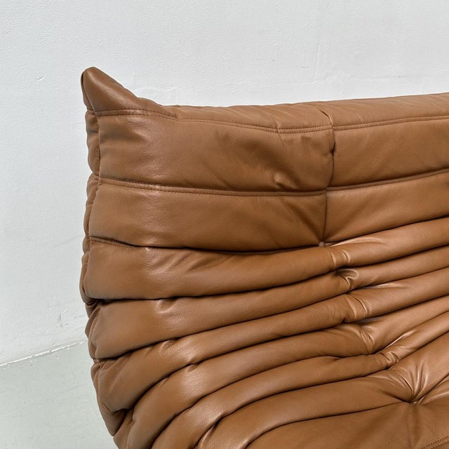 French Togo Sofa in Dark Cognac Leather attributed to Michel Ducaroy for Ligne Roset For Sale - Image 10 of 15