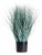 Blue Oat Grass Drop-In 32" For Sale
