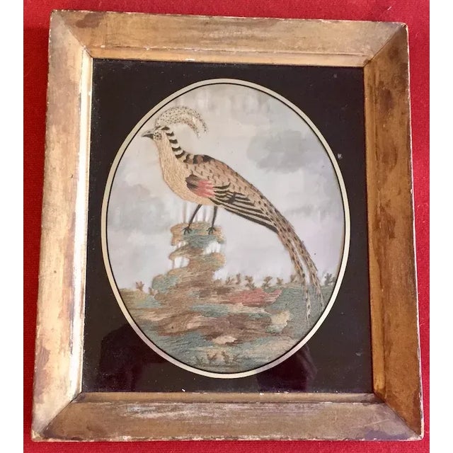 Wood Antique 18th Century English George III Needlework of an Exotic Bird in Original Gilt Wood Frame For Sale - Image 7 of 11