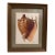 Vintage Seashell Print, Framed For Sale