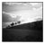 Paul Cooklin, Hedgerow, Edition of 50 For Sale