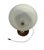 Metal Art Deco Table Lamp in Glass and Walnut, 1930 For Sale - Image 7 of 7