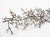 Bronze ZGallerie Modern Organic Manzanita Branch Candelabra Centerpiece For Sale - Image 8 of 8
