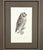 French 1828 Framed Great Grey Owl by Werner | Hand-Colored Bird Print For Sale - Image 3 of 5