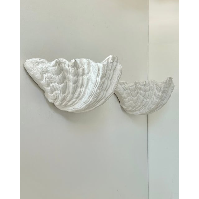 1920s Vintage Plaster Seashell Wall Sconces attributed to S. Roche, France, 1920s, Set of 2 For Sale - Image 5 of 9