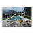 "Poolside Gossip" Contemporary Authorized C-Print After Slim Aarons, Framed, 40"x30" For Sale