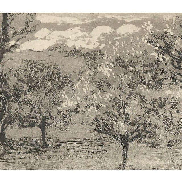 1920s Raphaël Drouart, La Cave Aus Fées (The Fairies' Cave), 1920s, Etching For Sale - Image 5 of 10