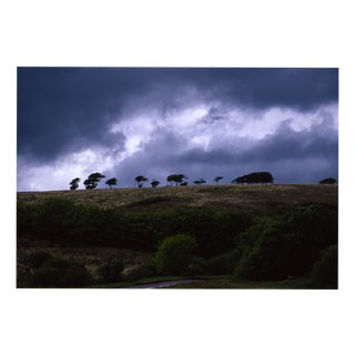 Paul Cooklin, Treeline, Exmoor, 2011, Edition of 50 For Sale