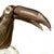 Modern Licio Zanetti, Exquisite Signed Murano Handblown Glass Toucan Sculpture For Sale - Image 3 of 4