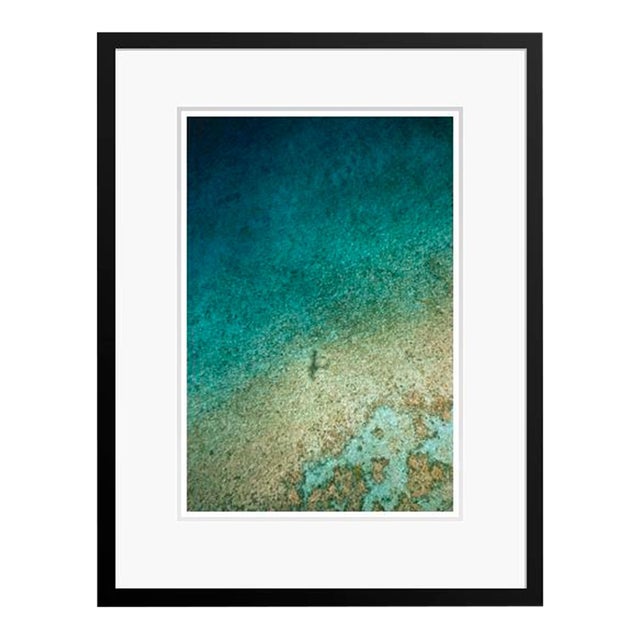 A Seaview in Nassau 1960 by Toni Frissell Framed C Print For Sale