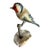 Austrian Folk Art Carved Wood Bird #73, 1930s For Sale