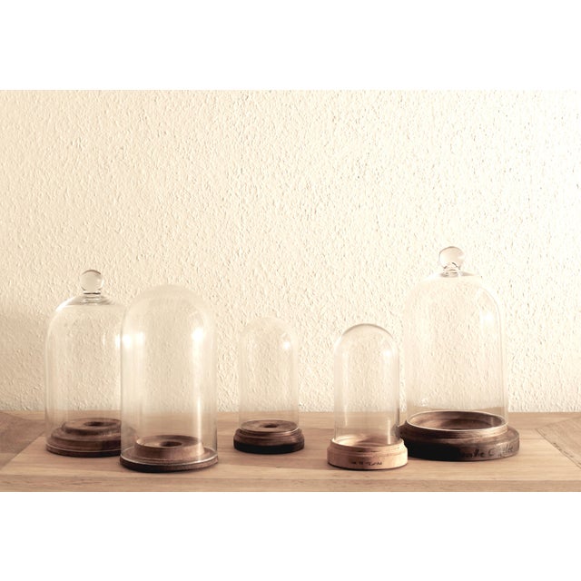 French Handblown Glass Bell Jar Display with Wooden Stand Marking Arc De Triomphe, Paris, Set of 5 For Sale - Image 5 of 10