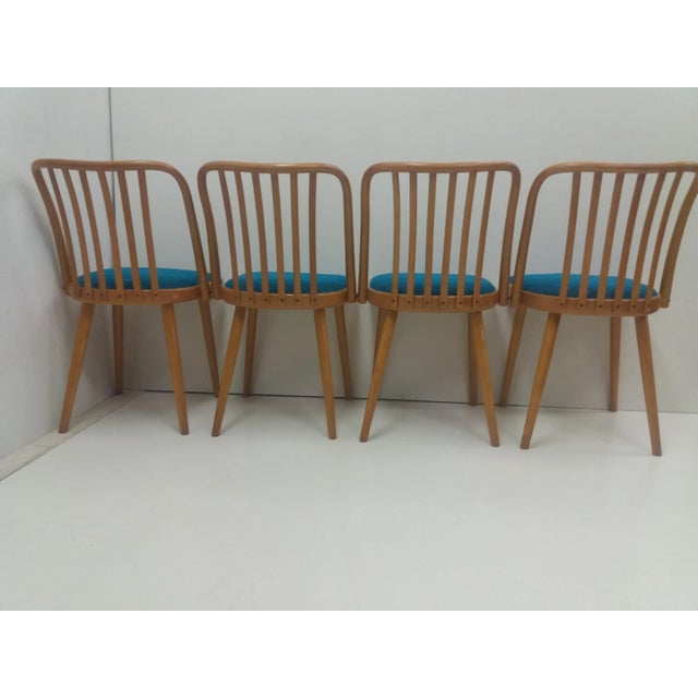 Czechoslovakian Retro Chairs by Antonín Šuman for Ton, 1960s, Set of 4 For Sale - Image 6 of 12