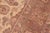 1990s Floral 1990's Medallion Pak-Persian Beige/Brown Wool Rug - 6'2'' X 9'3'' For Sale - Image 5 of 9