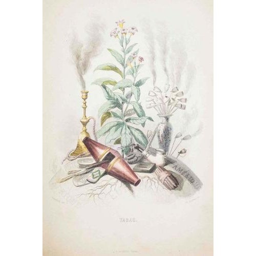 The boss crocodile is an original lithograph on ivory-colored paper realized by j.j. Grandville from scènes de la vie...