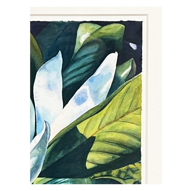 Contemporary Magnolia Watercolor and Pencil Painting, Framed For Sale - Image 3 of 4