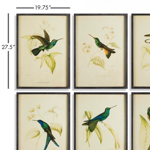 Incredibly intricate, yet whimsical in style, these hummingbird prints are a traditional set. May be hung together, or...
