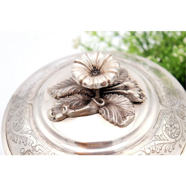 Silver Urn with Lion Heads Engraved with Rings, in Good conditions. Designed 1920 to 1949