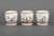 Late 20th Century Richard Ginori "Pittoria" Demitasse Service, 22 pcs For Sale - Image 11 of 17